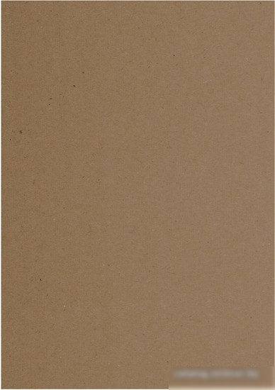 Набор бумаги для рисования BRAUBERG Art Classic 112486 (100 л)