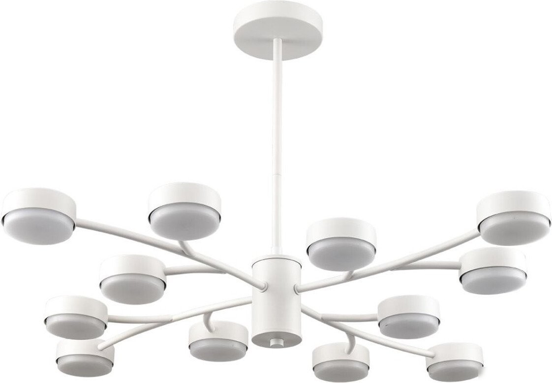 Подвесная люстра Lumion Torina 8265/12