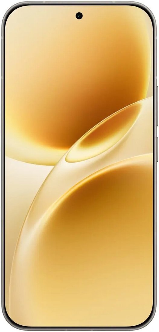 Телефон Vivo V70 V2538 8GB/256GB международная версия (серый)
