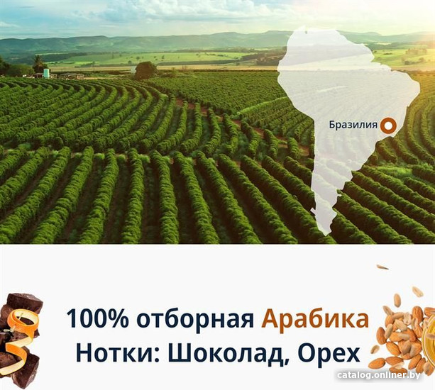 Кофе DeLonghi Signature Espresso Blend зерновой 250 г