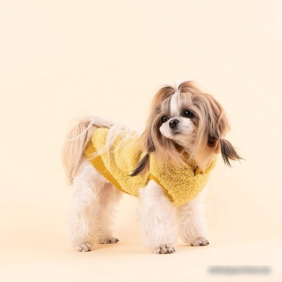 Свитер для животных Puppia Willa PATD-TS1756-MS-XL (желтый)