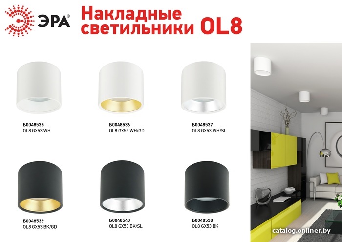 Точечный светильник ЭРА OL8 GX53 WH/SL Б0048537