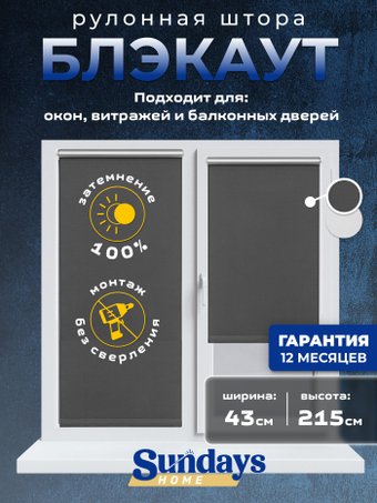 Рулонные шторы Sundays Home LM 167-07 43х215 (темно-серый)