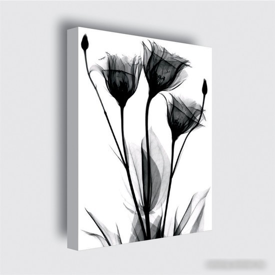 Картина Stamprint Черные цветы 1 TR016 (45x35)