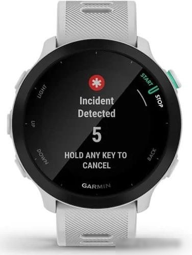 Умные часы Garmin Forerunner 55 (белый)