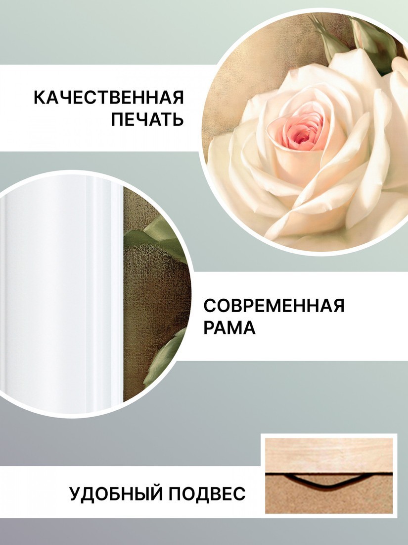 Картина Декарт 8Л0317