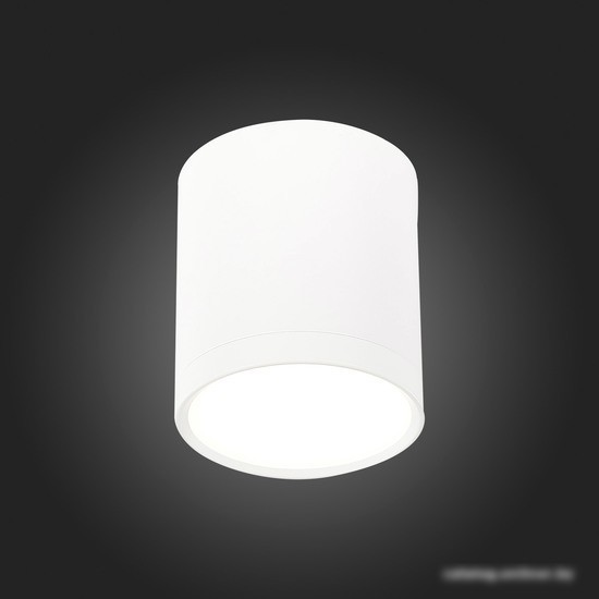 Точечный светильник ST Luce Rene ST113.542.05