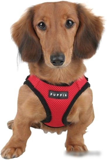 Шлейка-жилетка Puppia Soft Vest PAHA-AH305-RD-3L (красный)