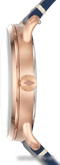 Наручные часы Fossil FS5274