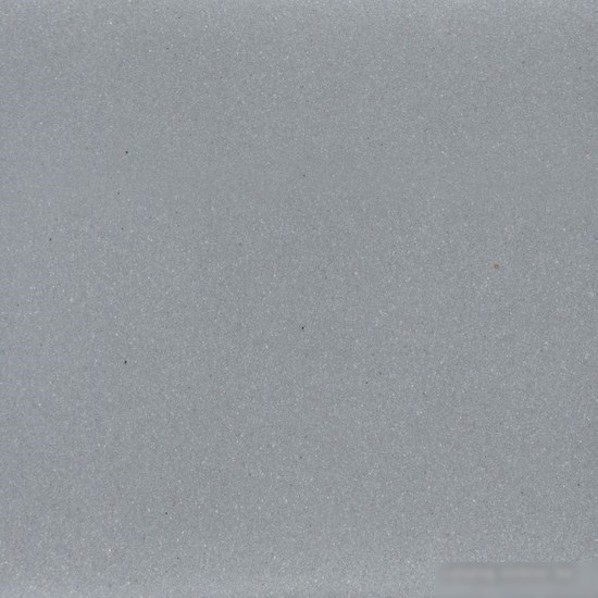 Кухонная мойка Wisent 600-29W (с сифоном GER013)