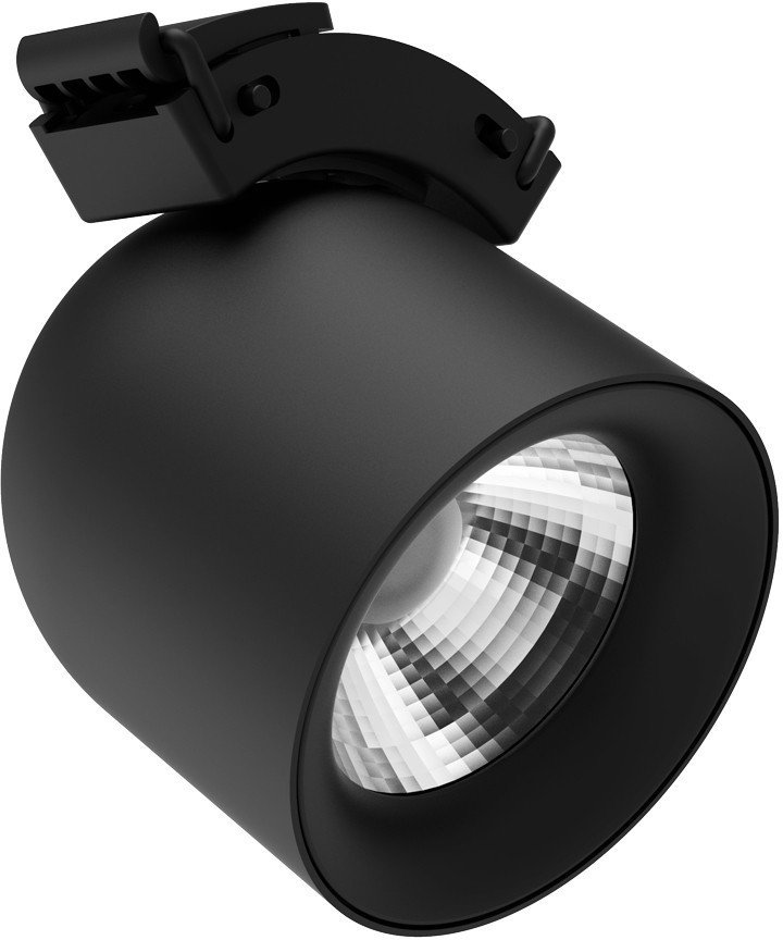 Трековый светильник Divinare Decorato 2482/06 SP-10