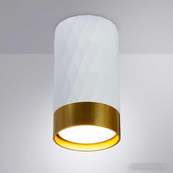Точечный светильник Arte Lamp Fang A5558PL-1WH