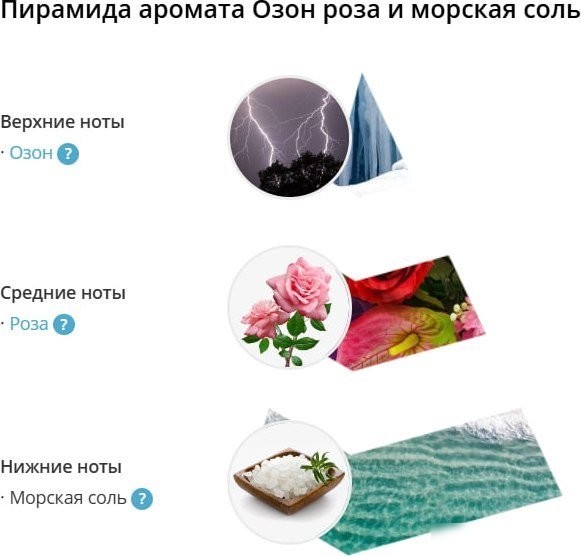 Аромадиффузор Eteria Cosmo Озон роза и морская соль ETC0145 (45 мл)