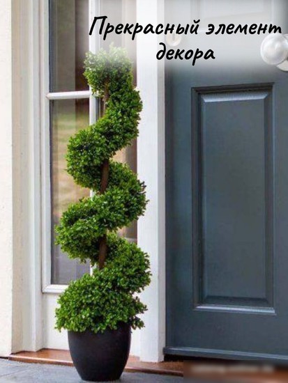 Искусственное растение Merry Bear Home Decor Самшит спиралевидный KM5312