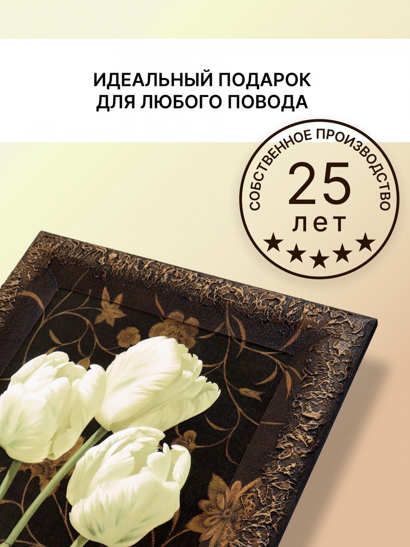 Картина Декарт 8Л2250