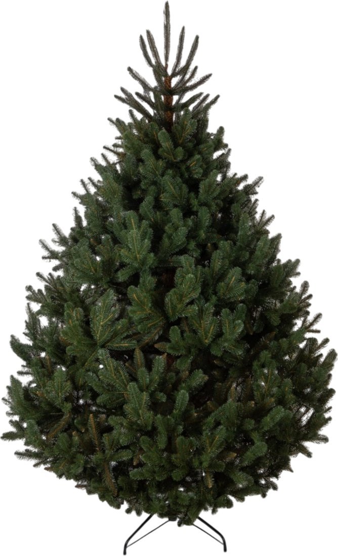 GreenTerra Босния (2.2м)