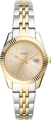 Наручные часы Fossil Scarlette Mini ES4949