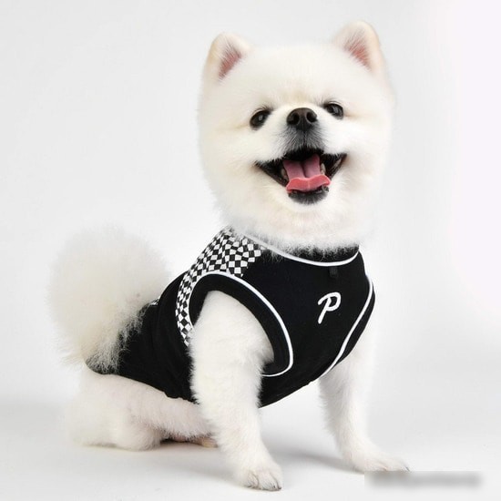 Свитер для животных Puppia Ralli PAUA-TS1810-BK-S (черный)