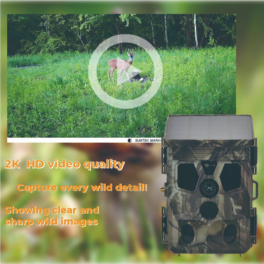 Фотоловушка Suntek HC-603 Pro