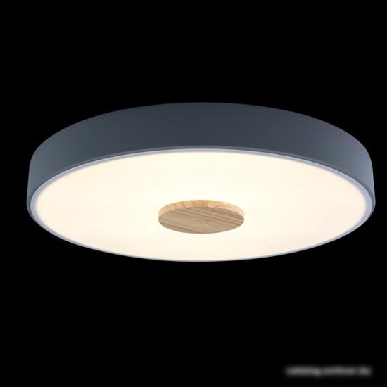 Люстра-тарелка LOFT IT Axel 10003/24 Grey