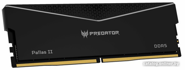 Оперативная память Acer Predator Pallas II 2x32ГБ DDR5 6400 МГц BL.9BWWR.438