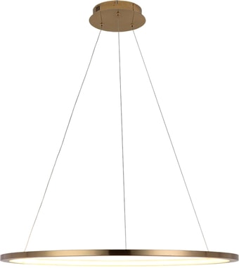 Подвесная люстра LOFT IT Ring 10014L