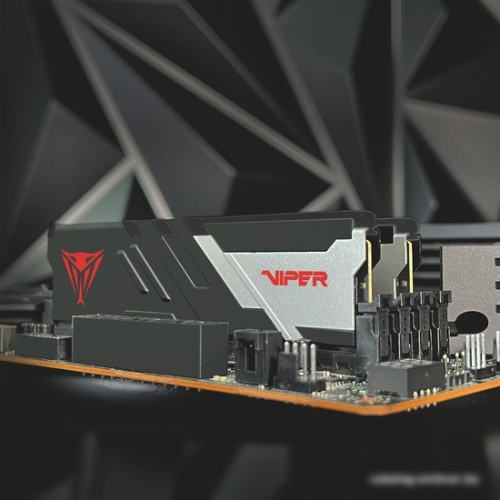 Оперативная память Patriot Viper Venom 2x16ГБ DDR5 6800МГц PVV532G680C34K