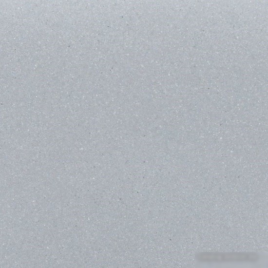 Кухонная мойка Wisent 510-29W (с сифоном GER013)