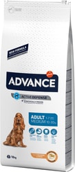 Корм для собак Advance Adult Medium 18 кг