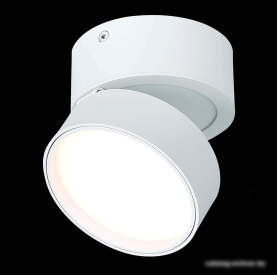 Припотолочная люстра ST Luce ST651.532.14