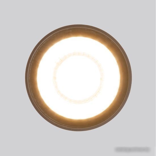 Уличный накладной светильник Elektrostandard Light LED 2105 35132/H (черный)
