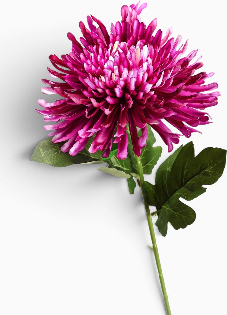 Искусственный цветок Poetry in flowers Хризантема леди элит 10709206