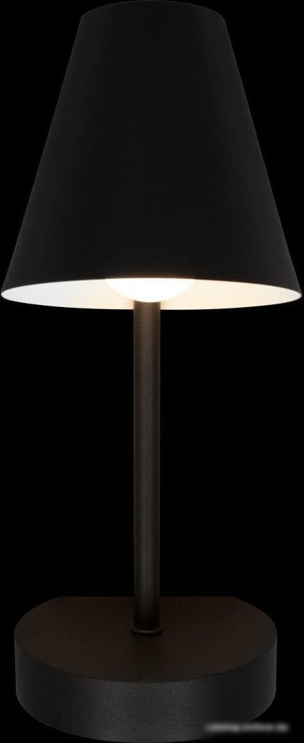 Бра LOFT IT Shelf 10216/1W Black
