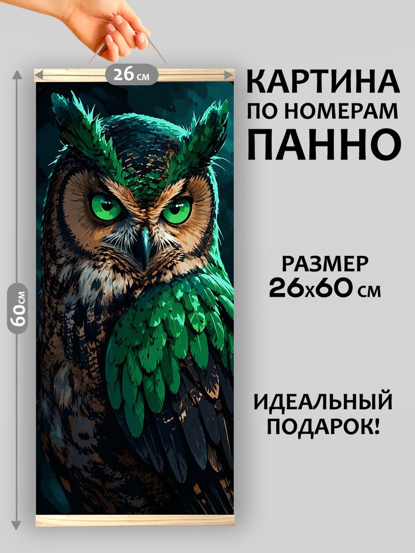 Картина по номерам Молли Сова с изумрудными глазами 26x60 HRM0123