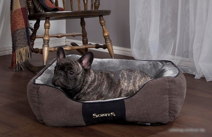Лежак Scruffs Chester 75 см (серый)
