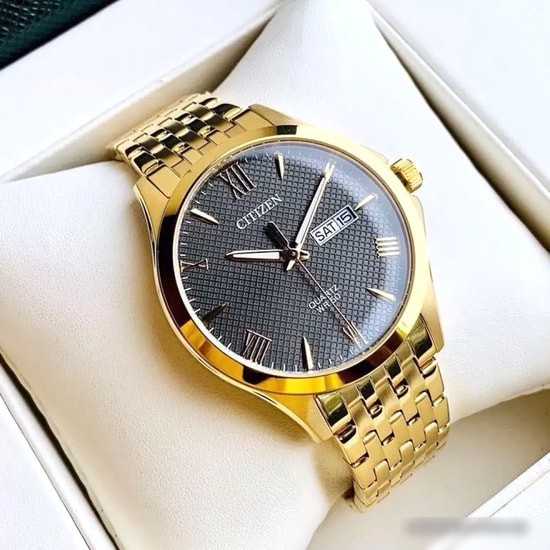 Наручные часы CITIZEN BF2022-55H