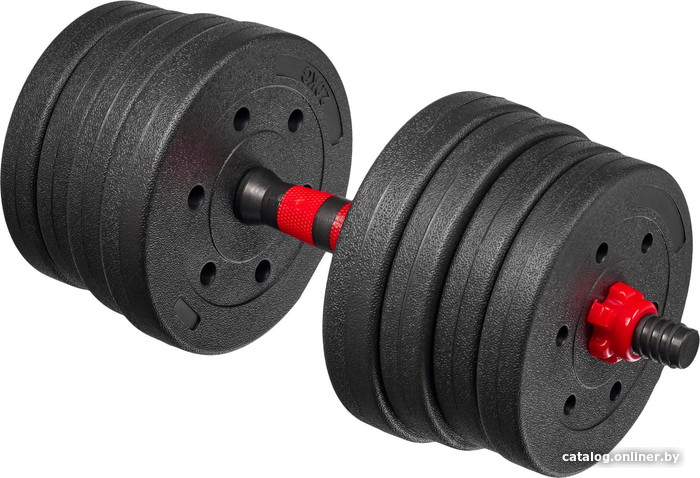 Набор гантелей Bradex SF 1039 2x12.5 кг