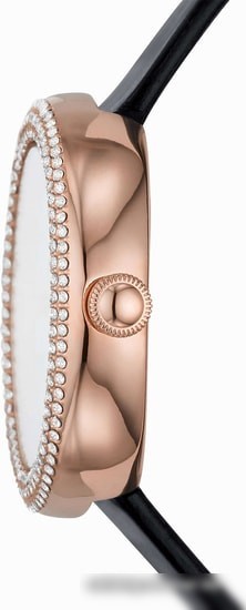 Наручные часы Emporio Armani Rosa AR11356