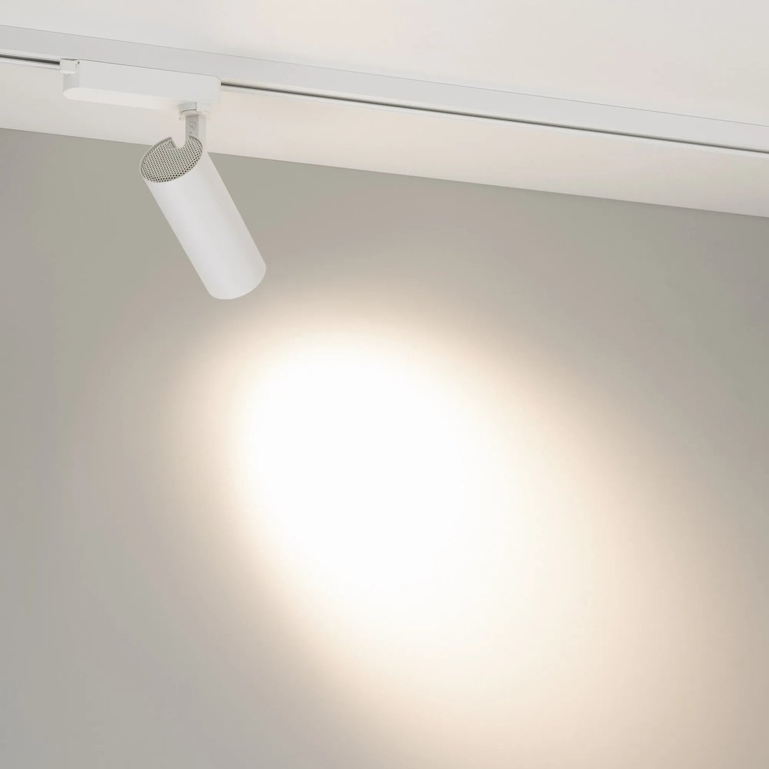 Трековый светильник Arlight LGD-GERA-2TR-R60-15W Day4000 WH 36deg 055045
