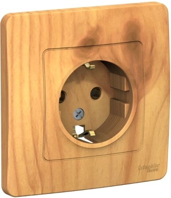Розетка Schneider Electric BLNRS001015