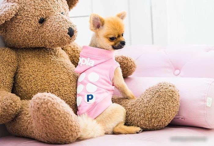 Футболка Puppia Emmy с капюшоном PARA-TS1509-PK-XL (розовый)