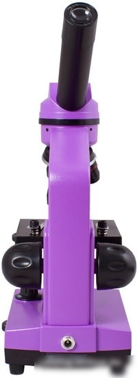 Levenhuk Rainbow 2L (аметист) 69036