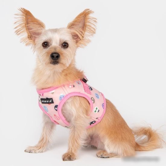 Шлейка-жилетка Puppia Lady Beetle-B PAWA-HB1957-PK-M (розовый)