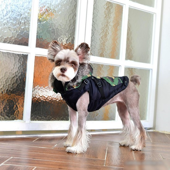 Жилетка для животных Puppia Orson PARD-VT1569-BK-L (черный)