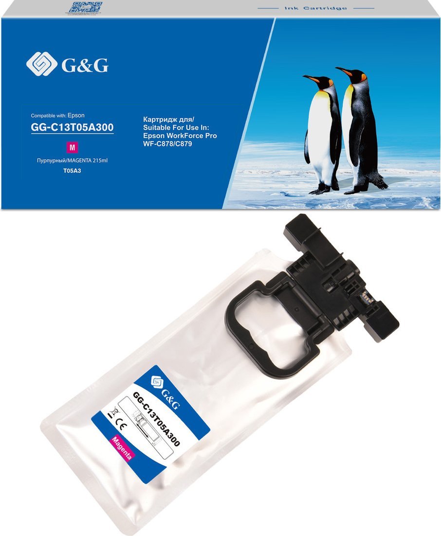 Картридж G&G GG-C13T05A300