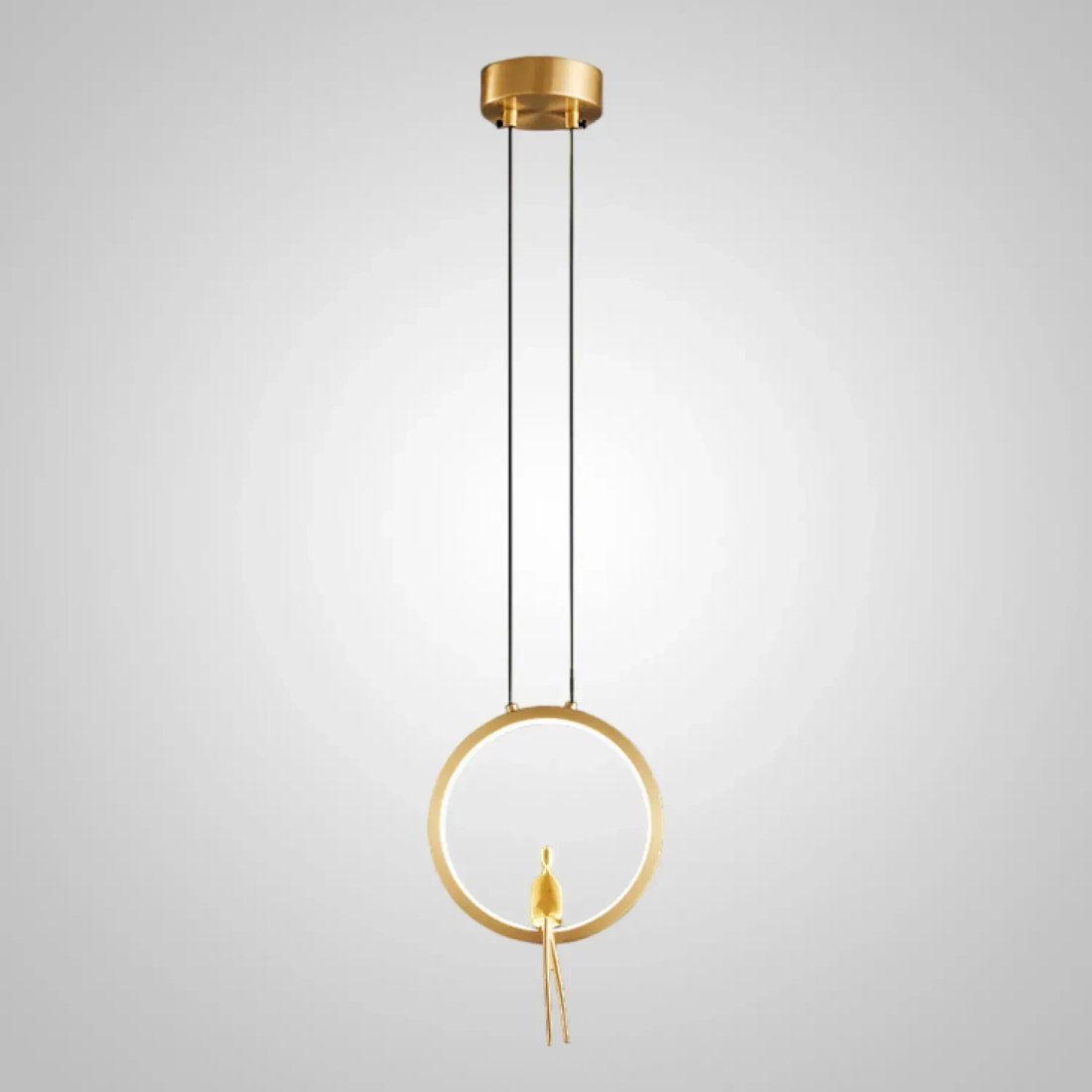 Подвесная люстра ImperiumLoft Remus-One01 233016-23