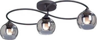 Припотолочная люстра Vitaluce V4965-1/3PL