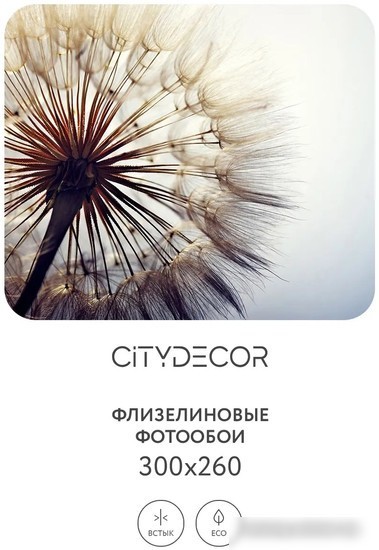Фотообои Citydecor Цветы и Растения 140 300x260