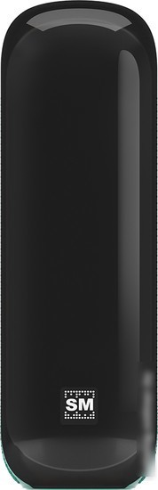 Беспроводная колонка Soundmax SM-PS5023B