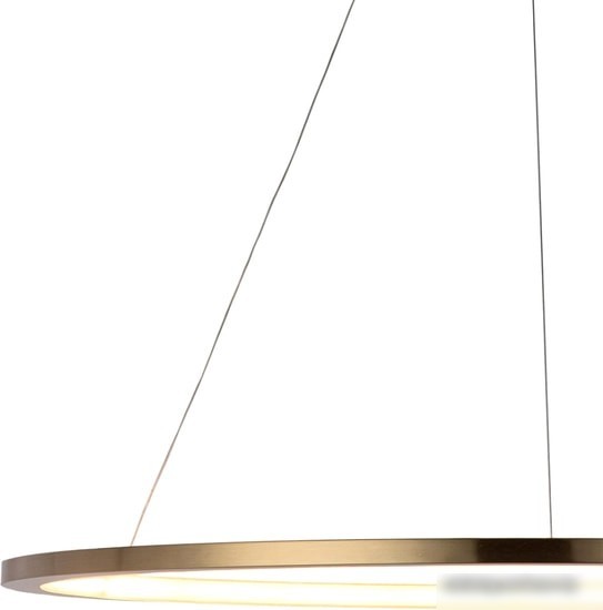 Подвесная люстра LOFT IT Ring 10014XL